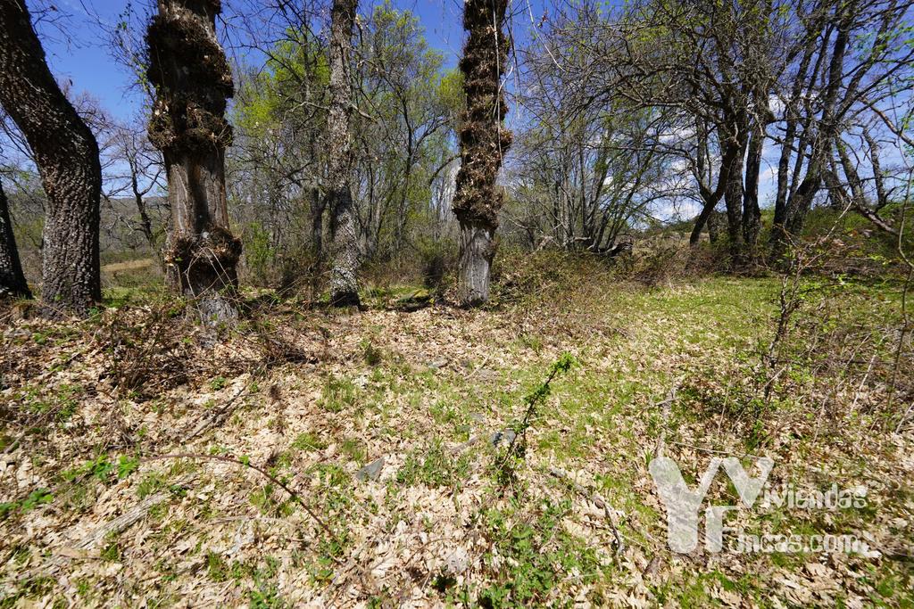 Ref.- 23026 Terreno rústico en venta, Campillo de Ranas