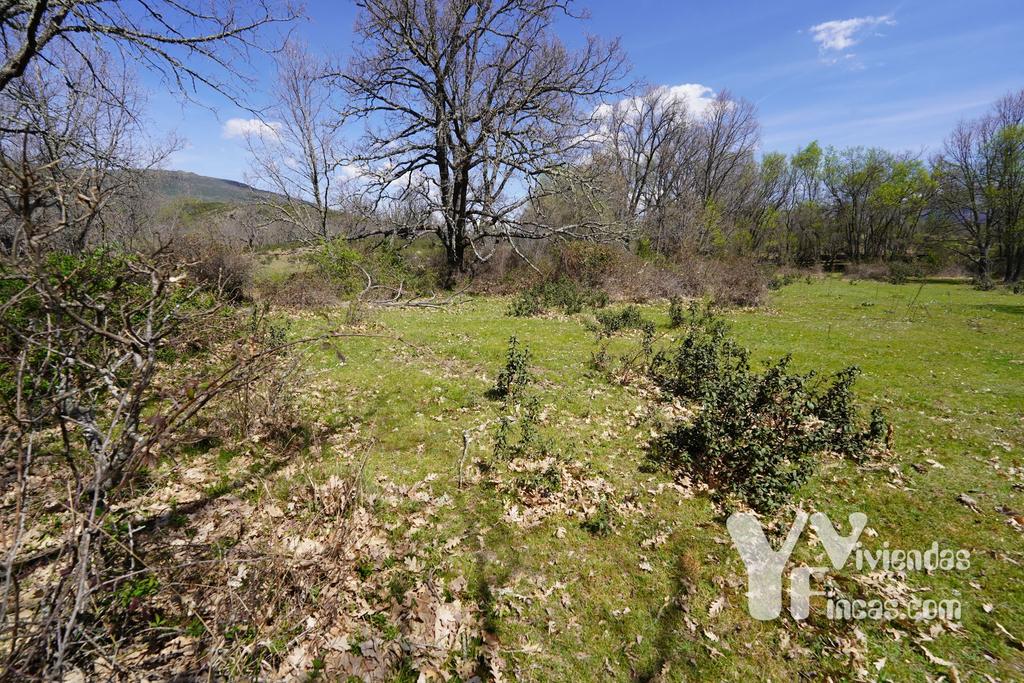 Ref.- 23026 Terreno rústico en venta, Campillo de Ranas