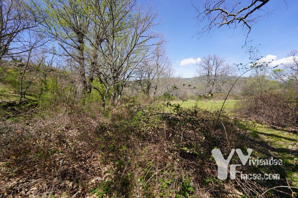 Ref.- 23026 Terreno rústico en venta, Campillo de Ranas