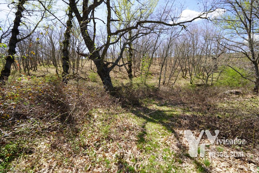 Ref.- 23026 Terreno rústico en venta, Campillo de Ranas