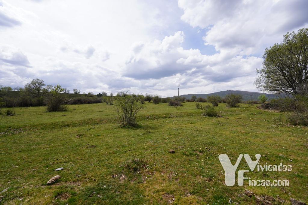 Ref.- 23027 Terreno rústico en venta, Campillo de Ranas