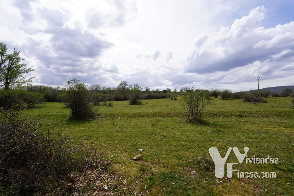 Ref.- 23027 Terreno rústico en venta, Campillo de Ranas
