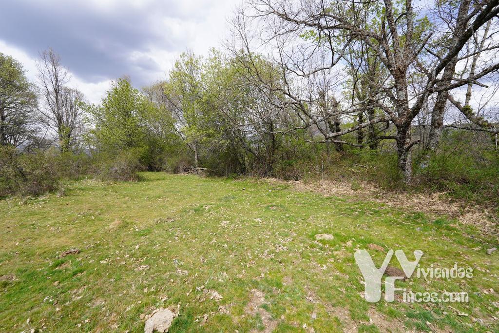 Ref.- 23027 Terreno rústico en venta, Campillo de Ranas