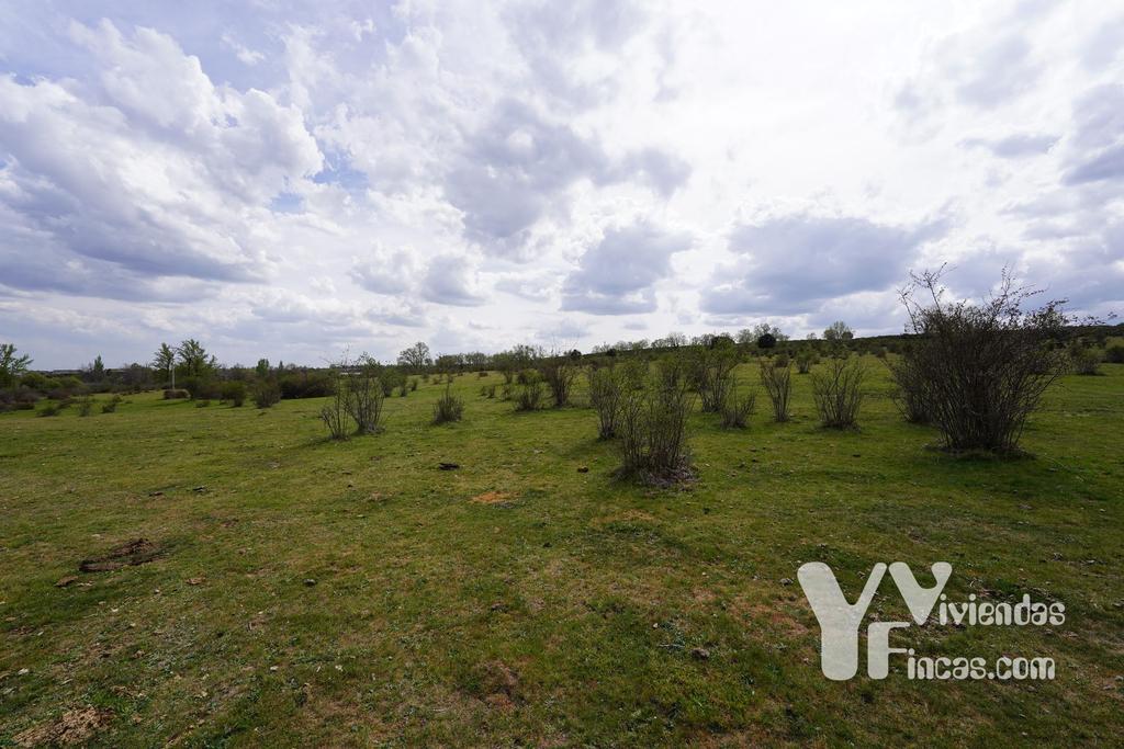 Ref.- 23027 Terreno rústico en venta, Campillo de Ranas