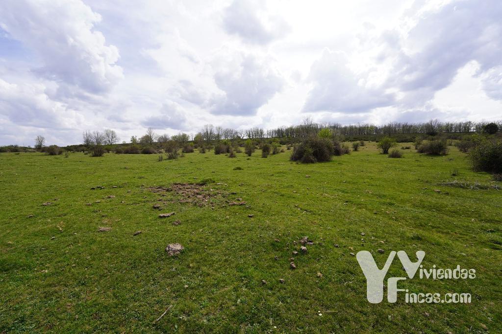 Ref.- 23027 Terreno rústico en venta, Campillo de Ranas