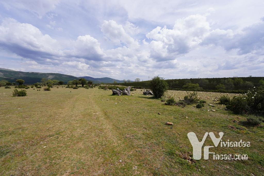 Ref.- 23027 Terreno rústico en venta, Campillo de Ranas