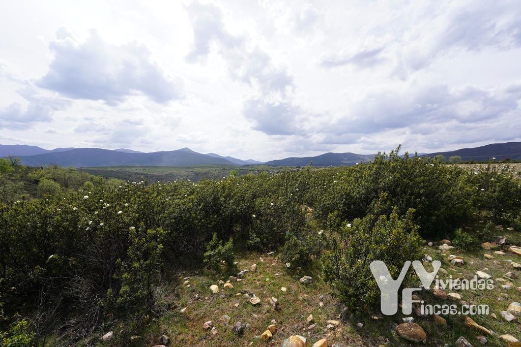 Ref.- 23027 Terreno rústico en venta, Campillo de Ranas
