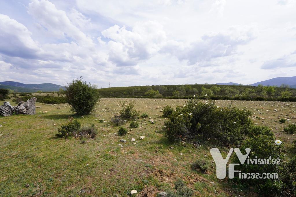 Ref.- 23027 Terreno rústico en venta, Campillo de Ranas