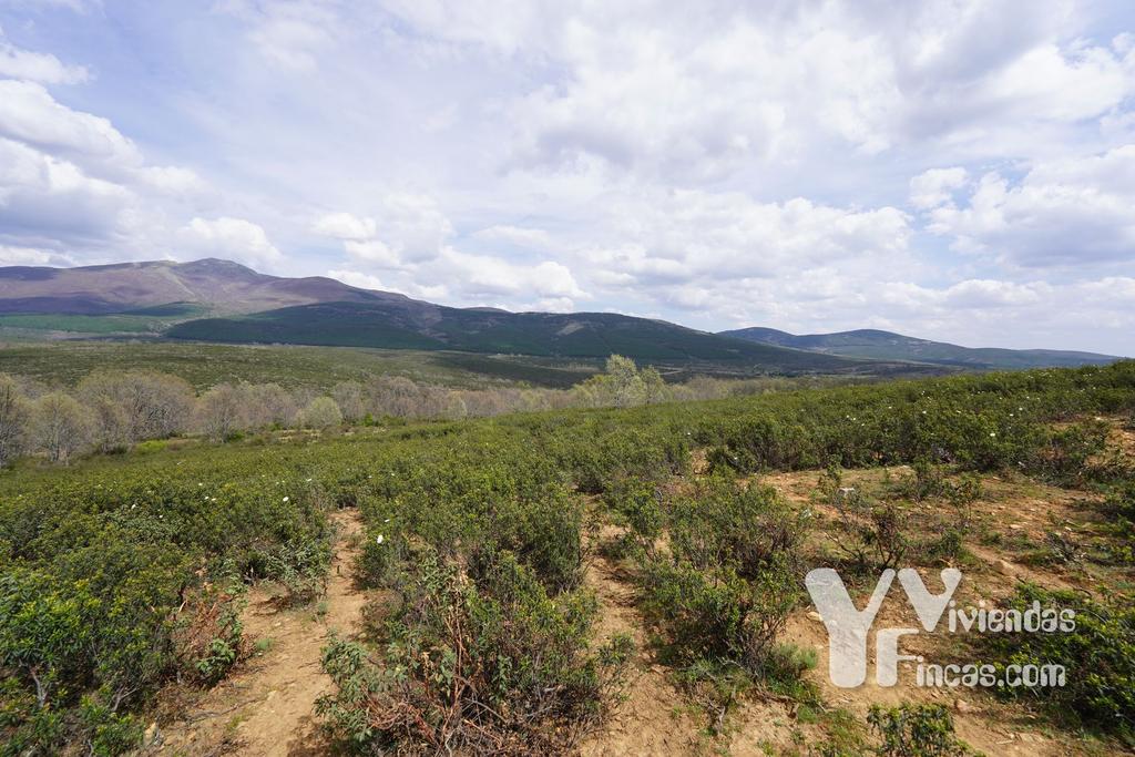 Ref.- 23028 Terreno rústico en venta, Campillo de Ranas