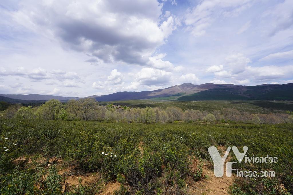 Ref.- 23028 Terreno rústico en venta, Campillo de Ranas