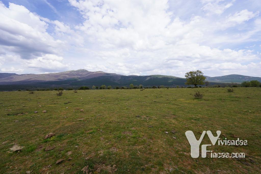 Ref.- 23028 Terreno rústico en venta, Campillo de Ranas