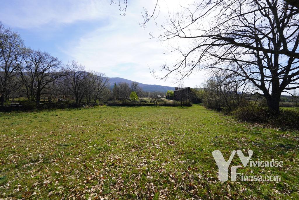 Ref.- 23029 Terreno rústico en venta, Campillo de Ranas