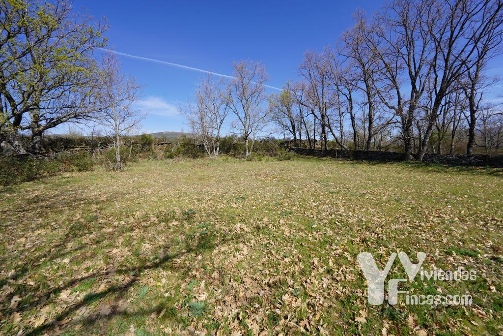Ref.- 23029 Terreno rústico en venta, Campillo de Ranas