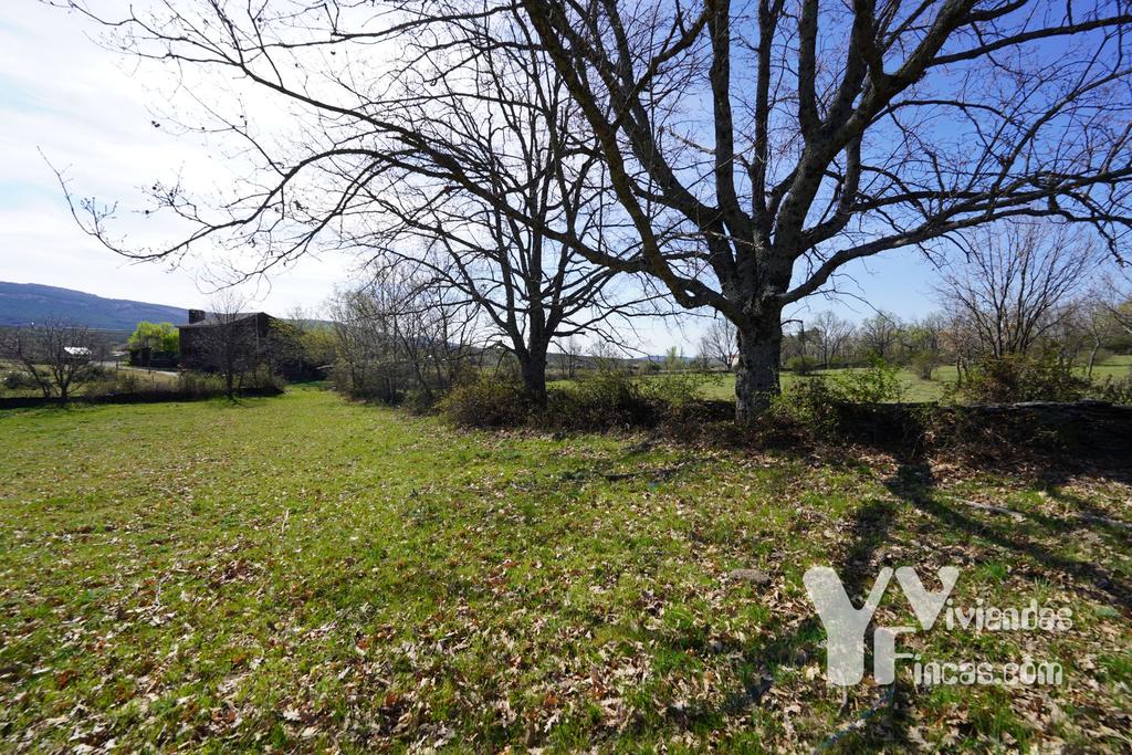 Ref.- 23029 Terreno rústico en venta, Campillo de Ranas