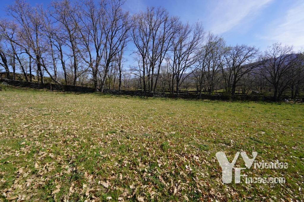 Ref.- 23029 Terreno rústico en venta, Campillo de Ranas