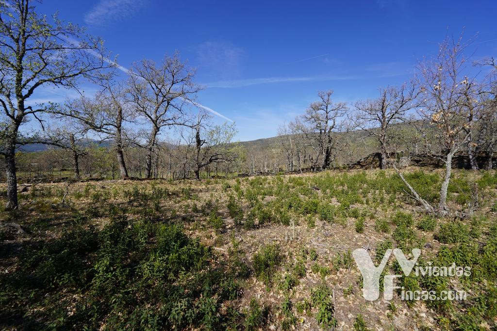 Ref.- 23029 Terreno rústico en venta, Campillo de Ranas