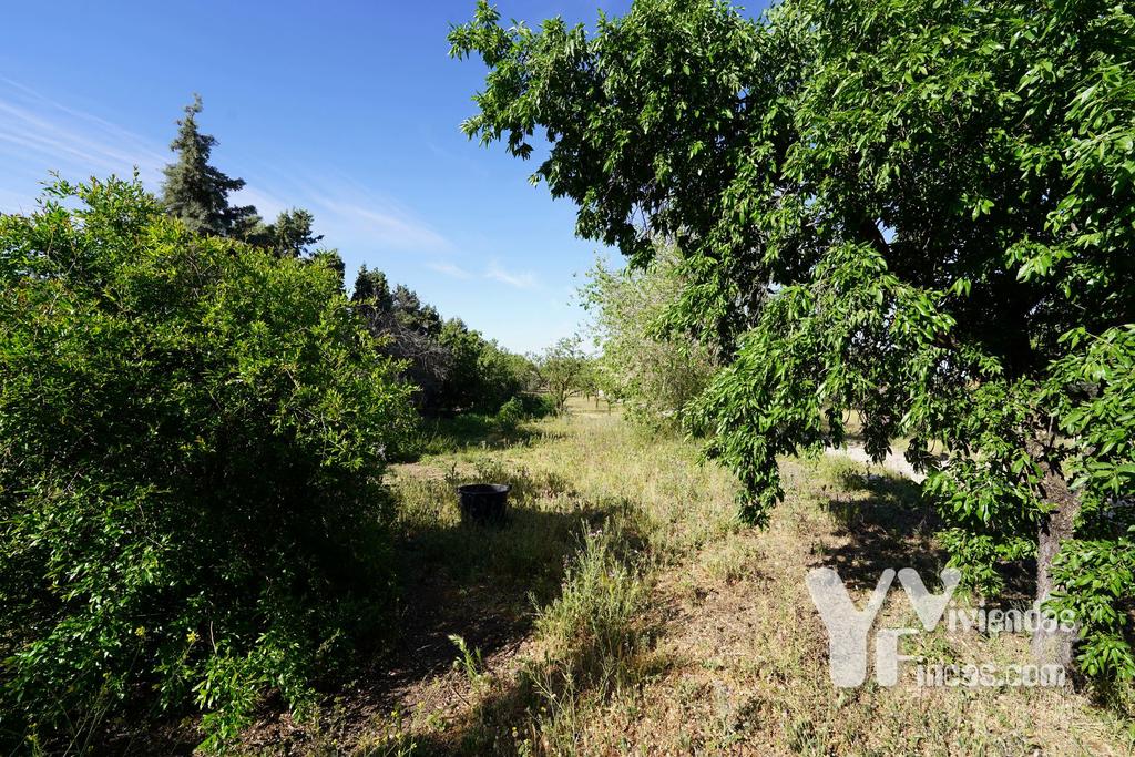 Ref.- 23032 Terreno en venta, Illescas