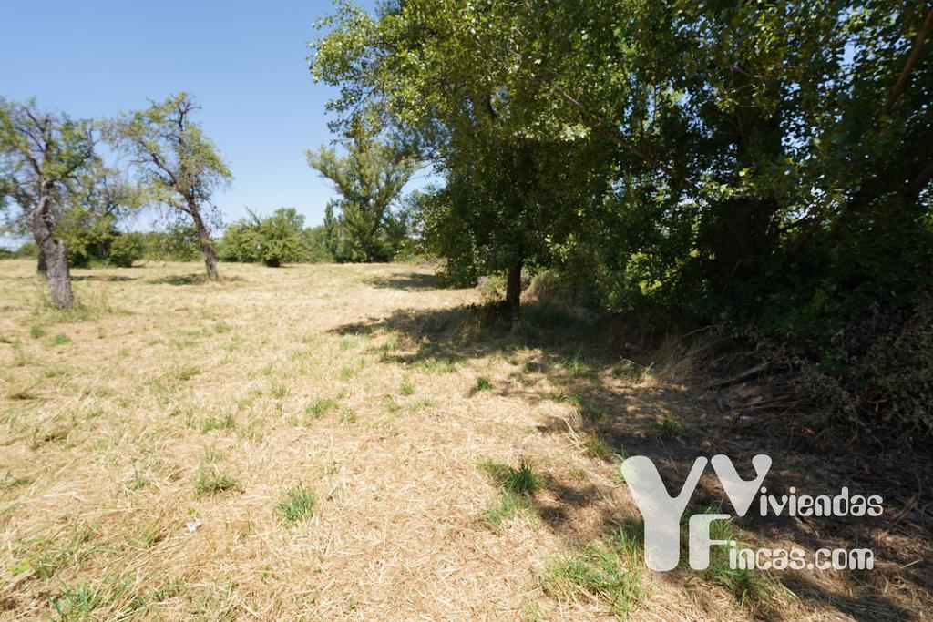 Ref.- 24004 Terreno en venta, Riaza