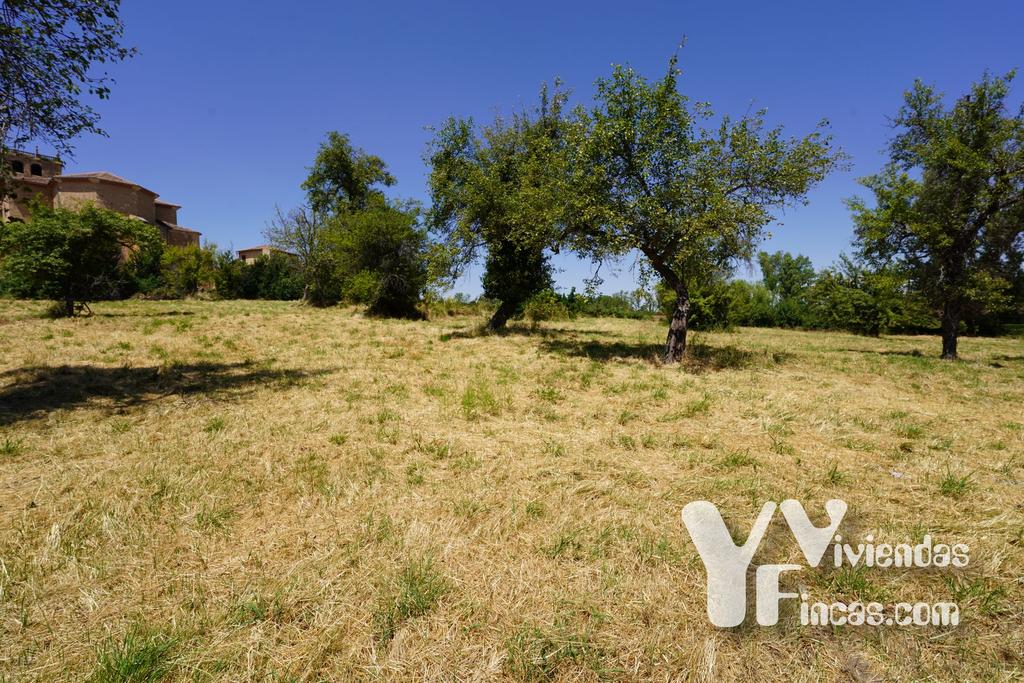Ref.- 24004 Terreno en venta, Riaza