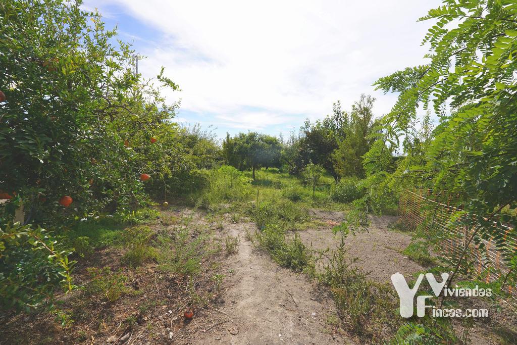 Ref.- 26021 Cortijo en venta en Camino Rao s/n, Atarfe