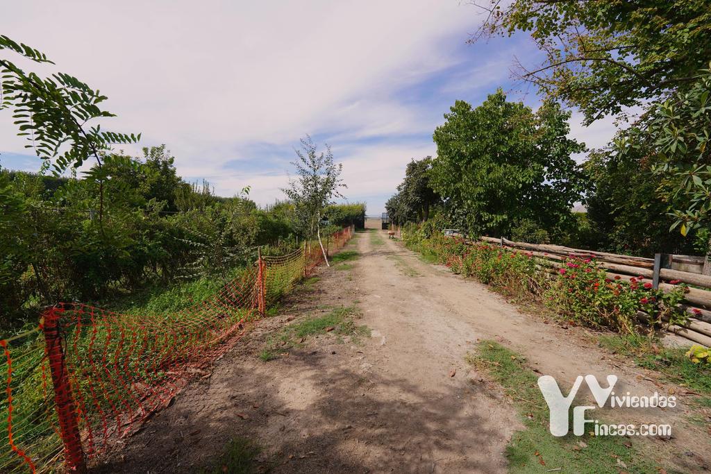 Ref.- 26021 Cortijo en venta en Camino Rao s/n, Atarfe