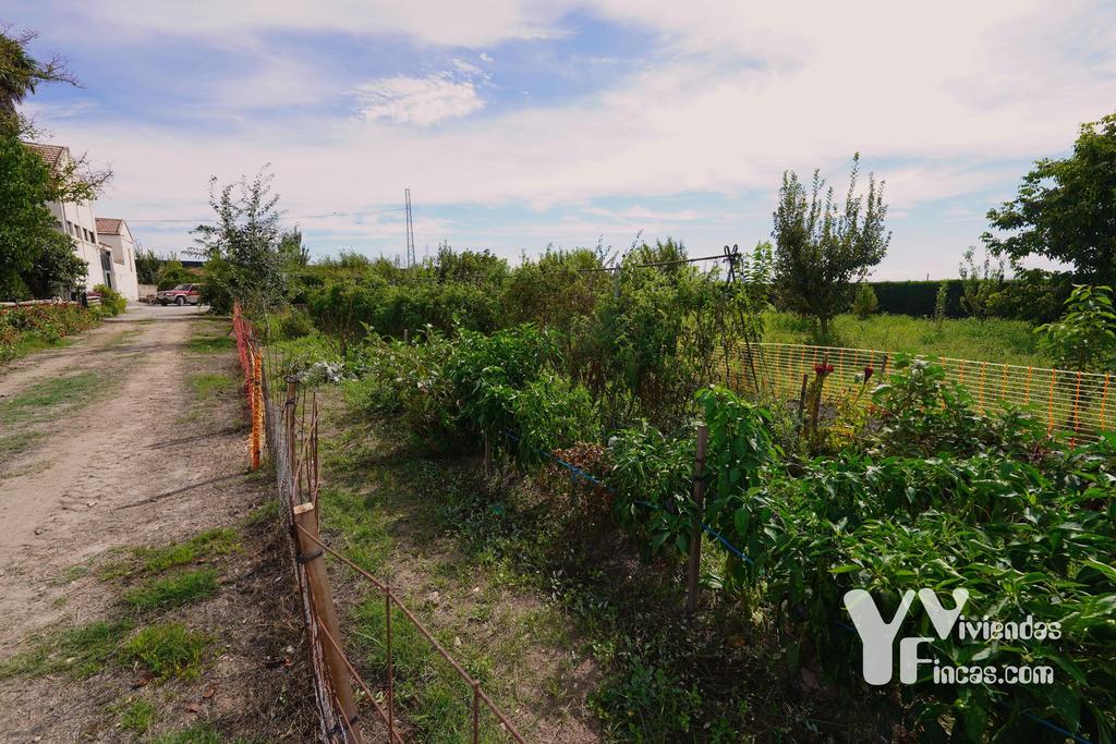 Ref.- 26021 Cortijo en venta en Camino Rao s/n, Atarfe