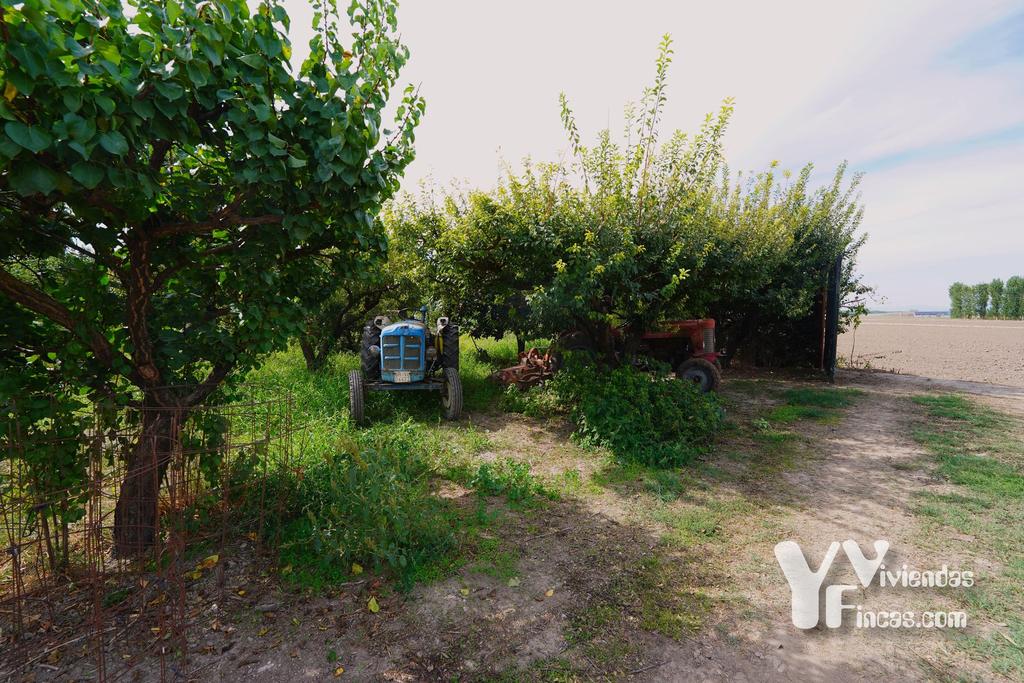 Ref.- 26021 Cortijo en venta en Camino Rao s/n, Atarfe