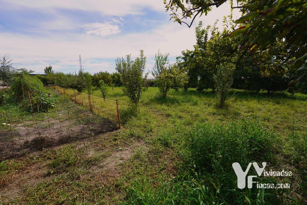 Ref.- 26021 Cortijo en venta en Camino Rao s/n, Atarfe