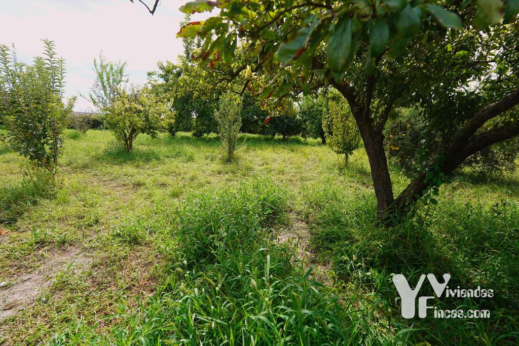 Ref.- 26021 Cortijo en venta en Camino Rao s/n, Atarfe