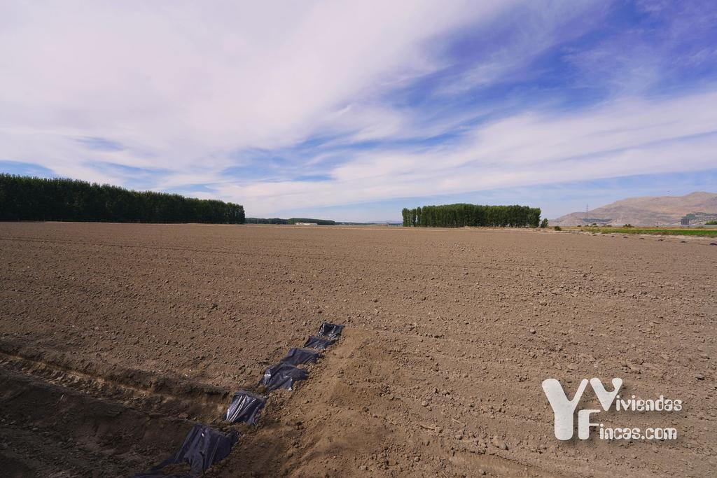 Ref.- 26021 Cortijo en venta en Camino Rao s/n, Atarfe
