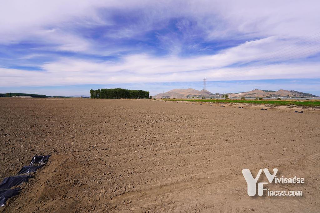 Ref.- 26021 Cortijo en venta en Camino Rao s/n, Atarfe
