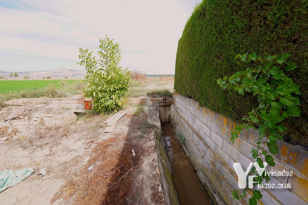Ref.- 26021 Cortijo en venta en Camino Rao s/n, Atarfe
