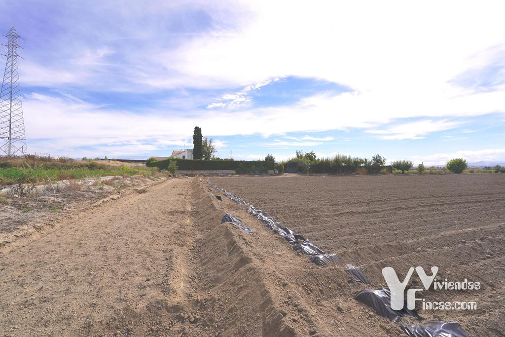 Ref.- 26021 Cortijo en venta en Camino Rao s/n, Atarfe