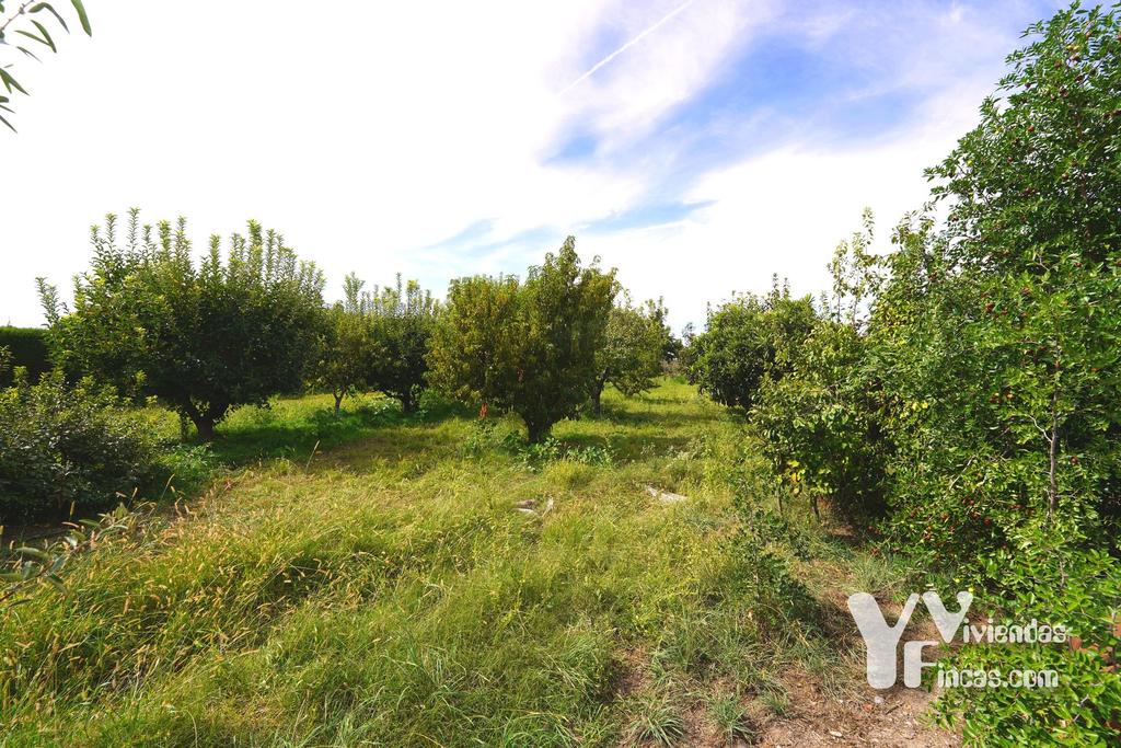 Ref.- 26021 Cortijo en venta en Camino Rao s/n, Atarfe