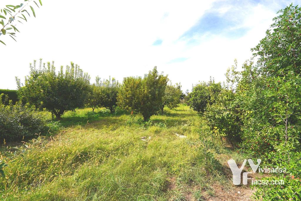 Ref.- 26021 Cortijo en venta en Camino Rao s/n, Atarfe